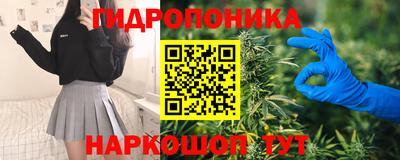 apvp Моздок