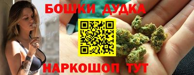 шишки Можга