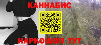 шишки Можга