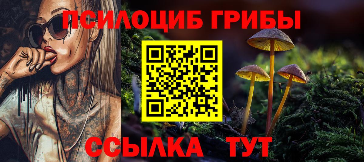 Бердск  Галлюциногенные грибы Psilocybine cubensis  Вход с VPN 