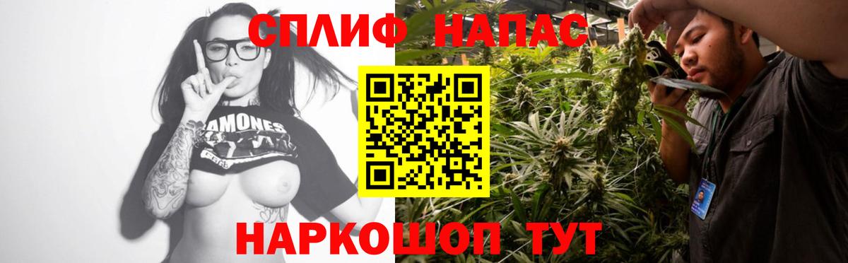 Конопля марихуана Бердск